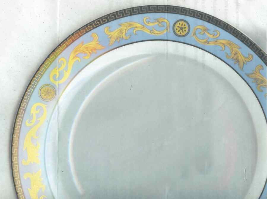 R2260 Dinner Plate by Rosenthal - Continental-1