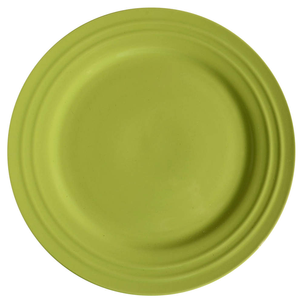 Double Ridge Green Apple Dinner Plate by Rachael Ray-1