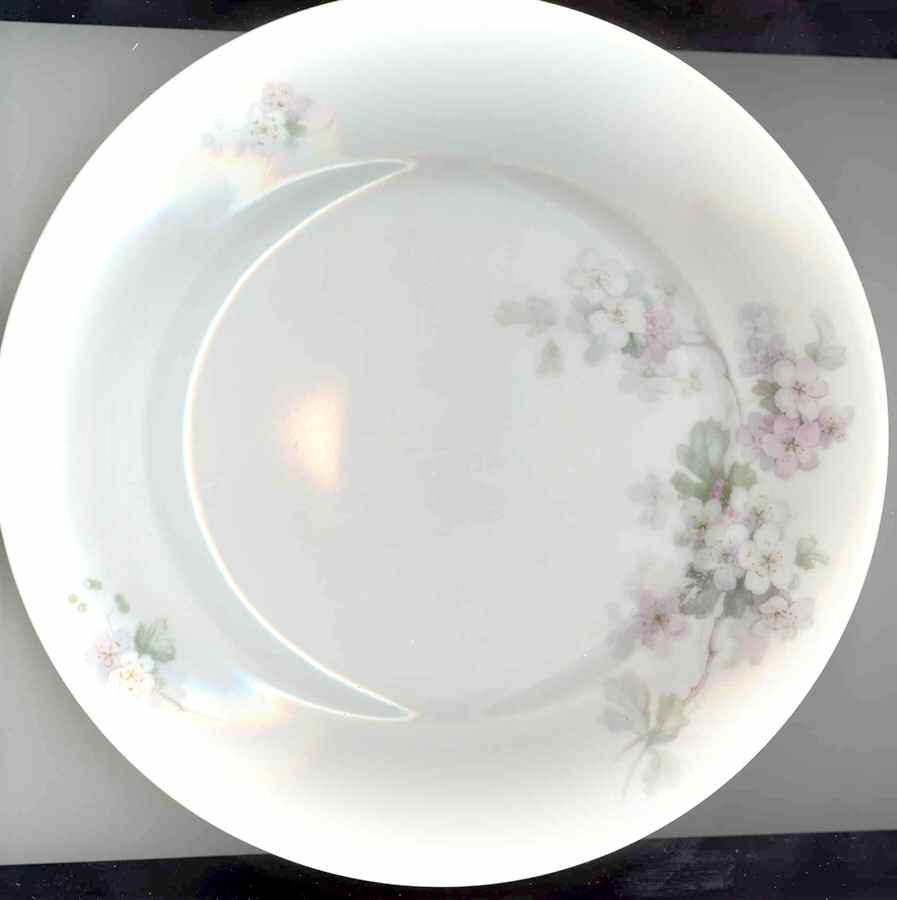 R2265 Dinner Plate by Rosenthal - Continental-1