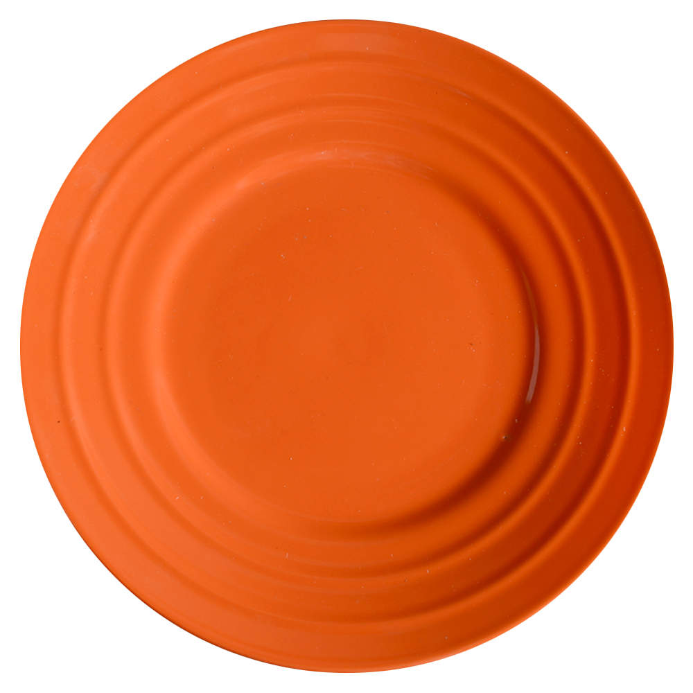 Double Ridge Tangerine Orange Salad Plate by Rachael Ray-1