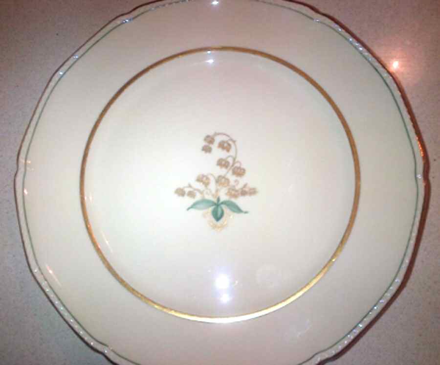 ROT309 Dinner Plate by Royal Tettau-1
