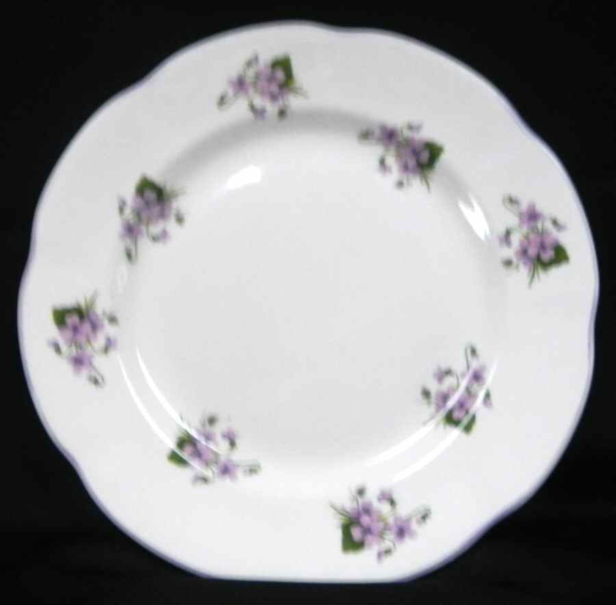 RIA90 Dinner Plate by Rosina-Queens-1