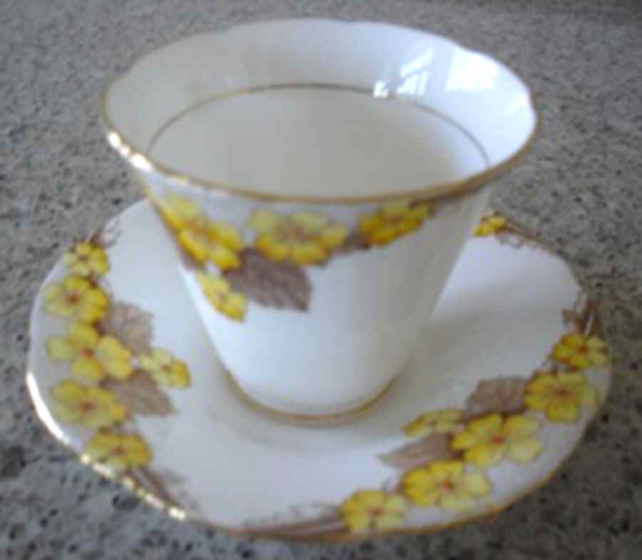 Aston Footed Cup & Saucer Set by Royal Grafton-1