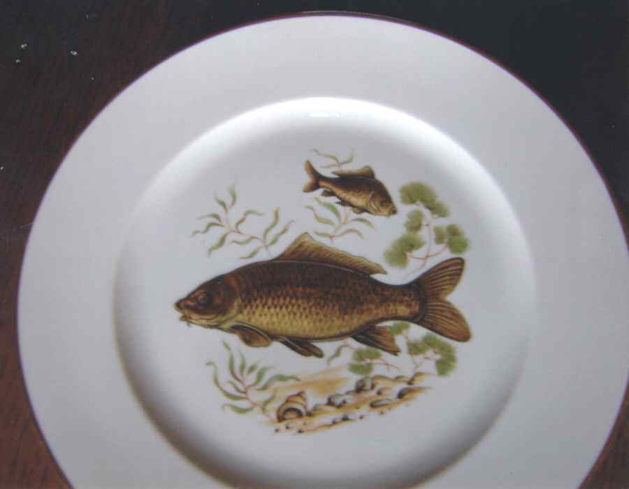 R2270 Dinner Plate by Rosenthal - Continental-1
