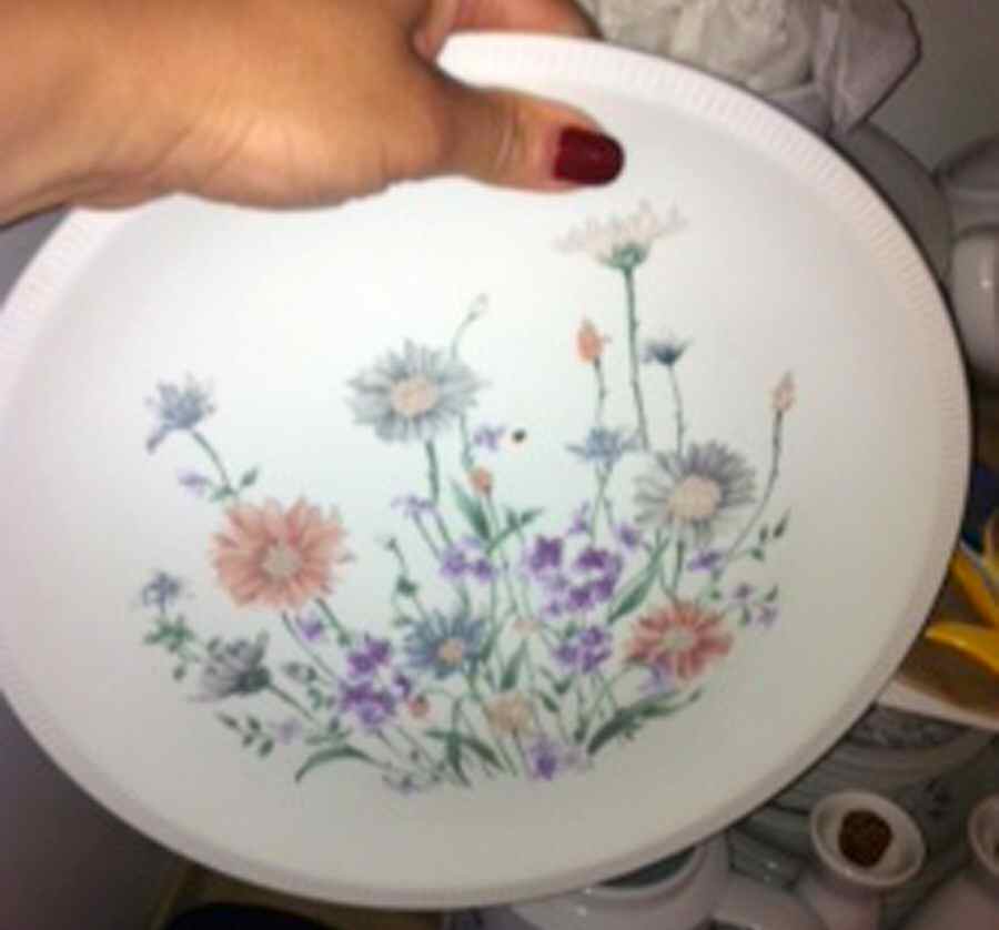R2271 Dinner Plate by Rosenthal - Continental-1