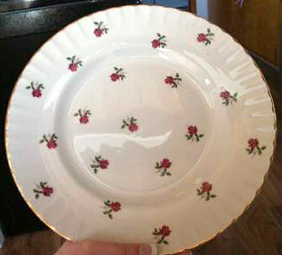 RID93 Dinner Plate by Ridgway (Ridgways)-1