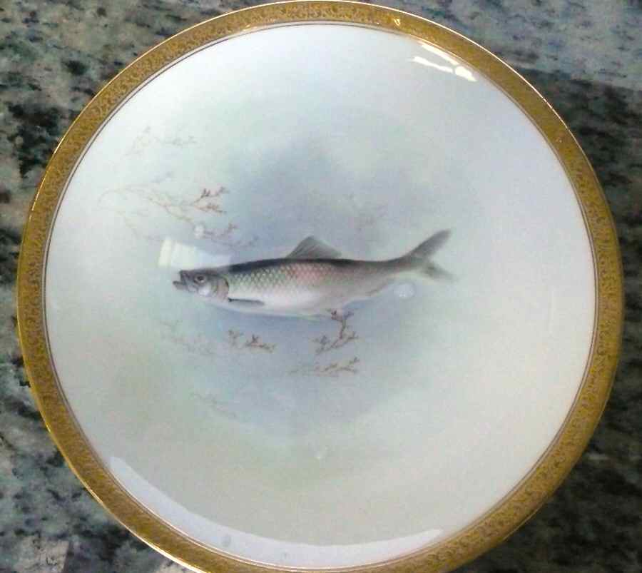 RA3881B Luncheon Plate by Royal Doulton-1