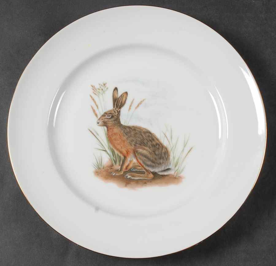 RBA44 Dinner Plate by Royal Bavaria-1