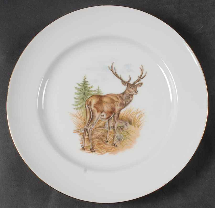RBA44 Dinner Plate by Royal Bavaria-1