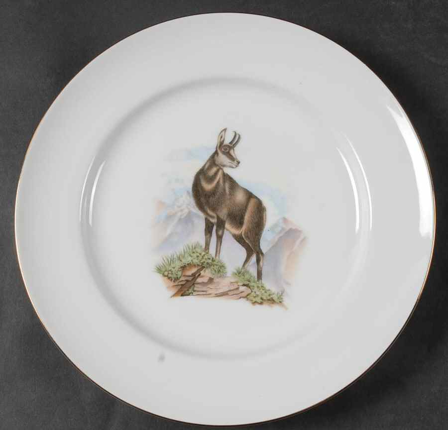 RBA44 Dinner Plate by Royal Bavaria-1