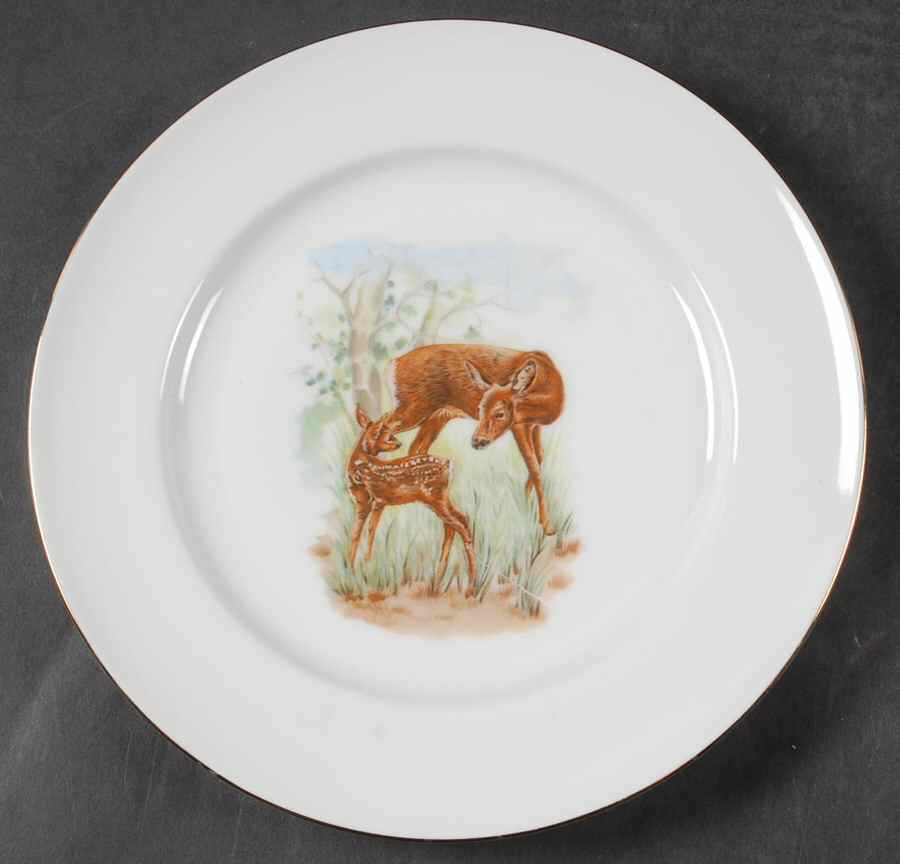 RBA44 Dinner Plate by Royal Bavaria-1