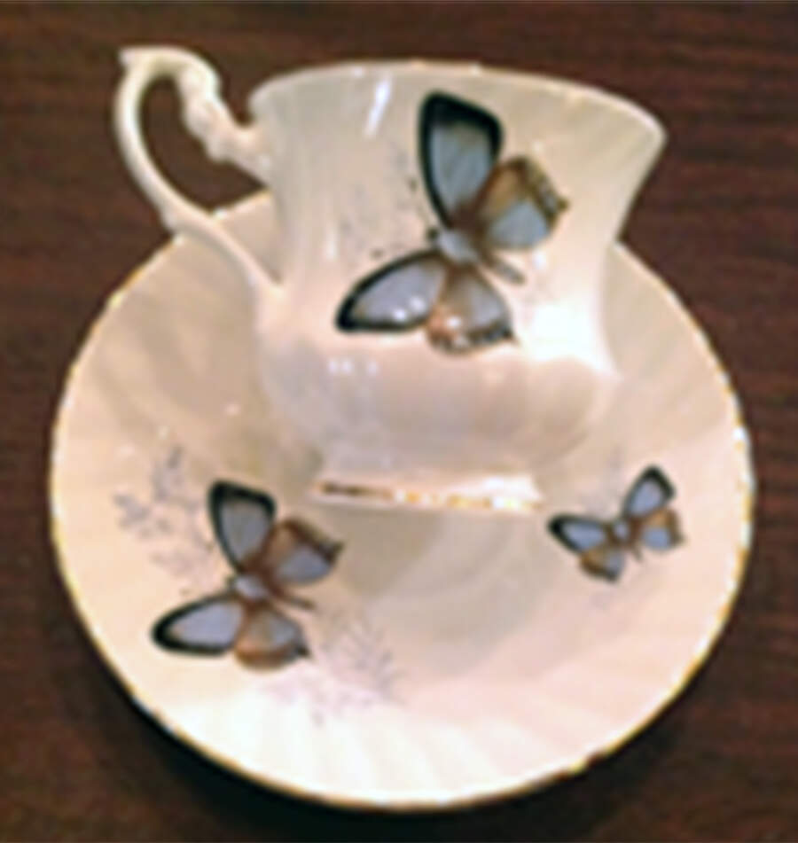 RDO10 Footed Cup & Saucer Set by Royal Dover-1
