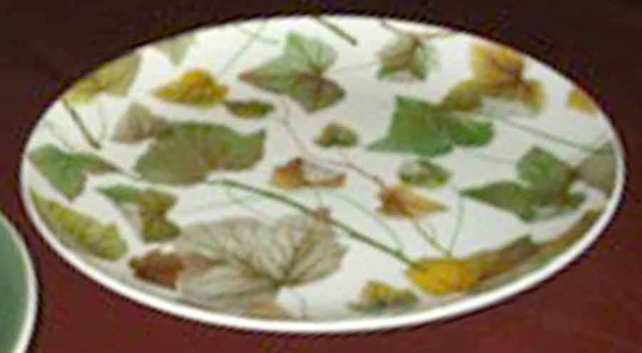 RST201 Salad Plate by Royal Stafford-1
