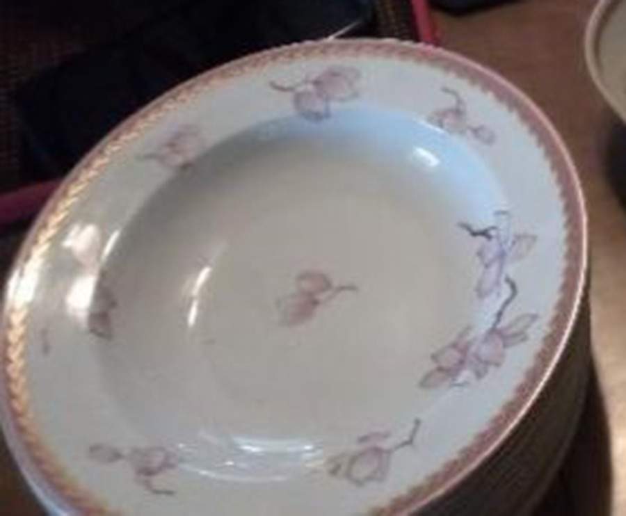 Pink Danube 10" Oval Vegetable Bowl by Rosenthal - Continental-1
