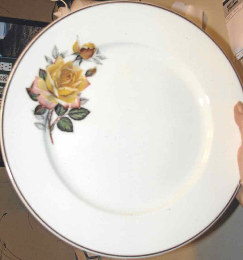 M3471 Dinner Plate by Rosenthal - Continental-1