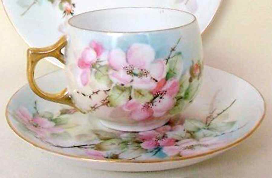 R2930 Flat Cup & Saucer Set by Rosenthal - Continental-1