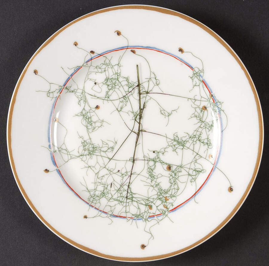 Nature White Salad Plate by Raynaud-1