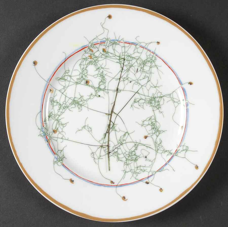 Nature White Dessert Luncheon Plate by Raynaud-1