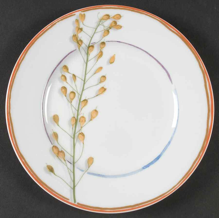 Nature White Dessert Luncheon Plate by Raynaud-1