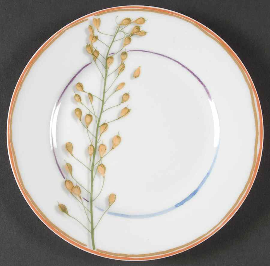 Nature White Salad Plate by Raynaud-1