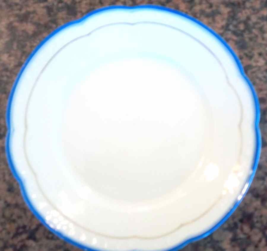 1570 Dinner Plate by Rosenthal - Continental-1