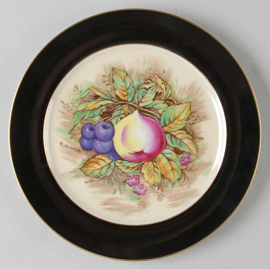 RSS5 Dinner Plate by Rossetti-1