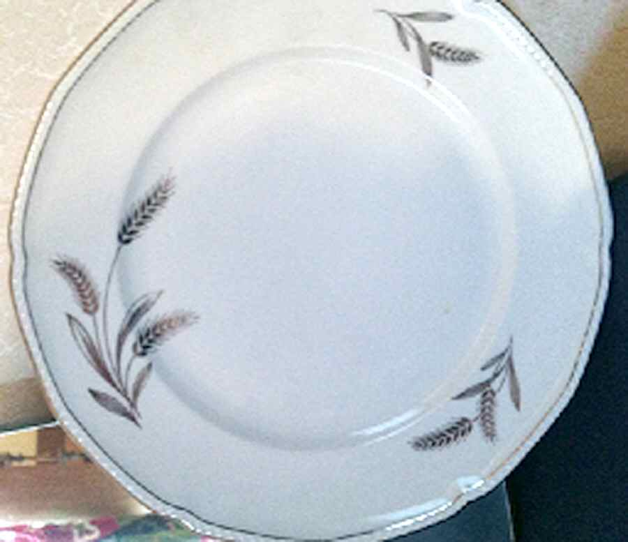ROB459 Dinner Plate by Royal Bayreuth-1