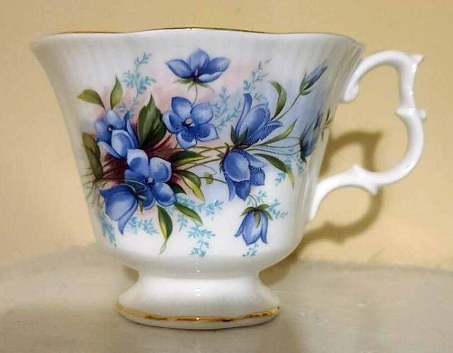 ROA265 Footed Cup by Royal Albert-1