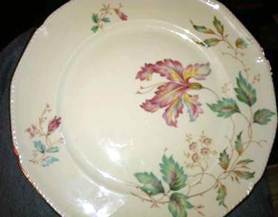 ROT315 Dinner Plate by Royal Tettau-1