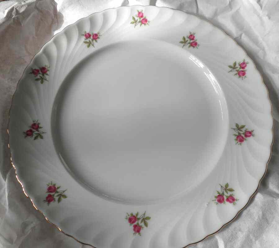 ROT316 Dinner Plate by Royal Tettau-1