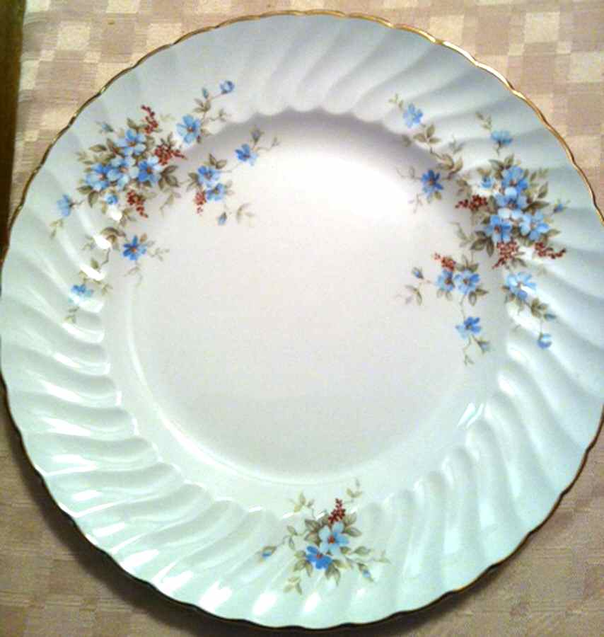 RID98 Dinner Plate by Ridgway (Ridgways)-1