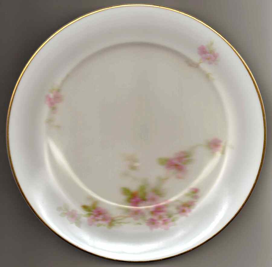 ROB463 Dinner Plate by Royal Bayreuth-1