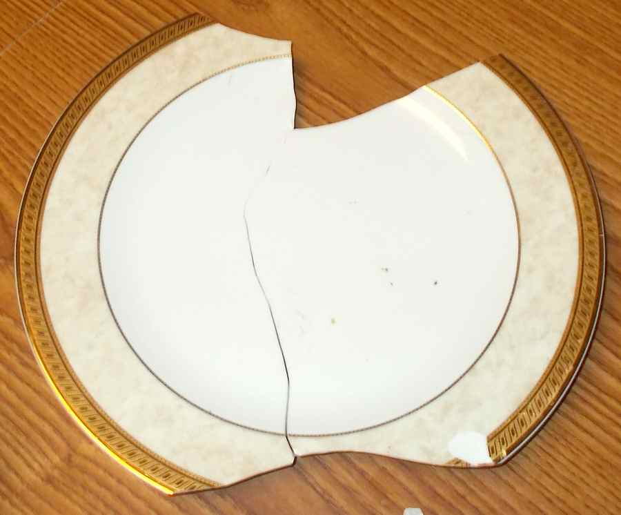 RPD5 Dinner Plate by Royal Porcelain-1