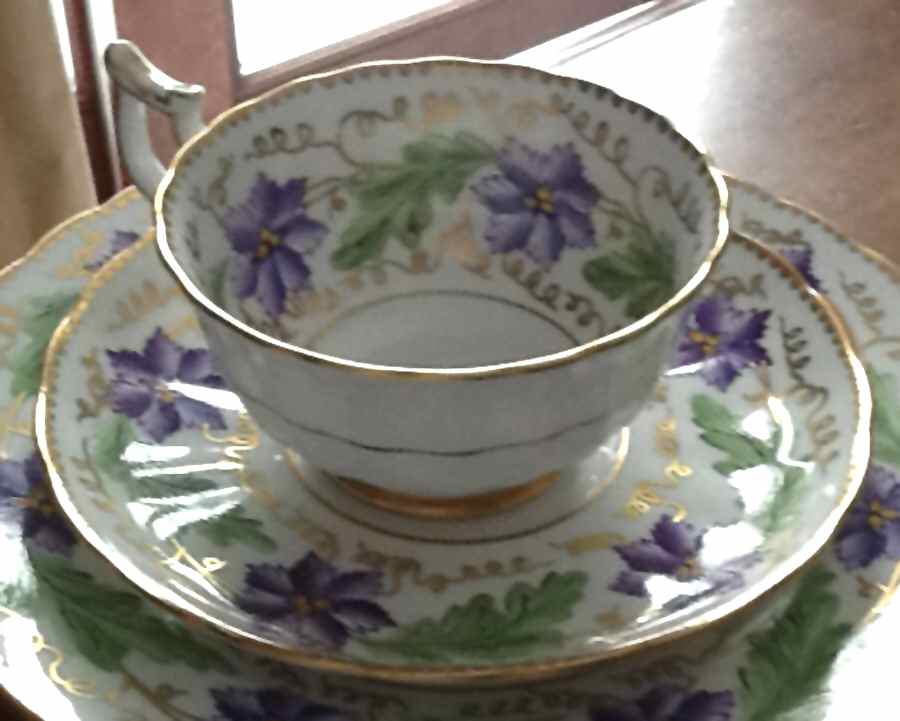 3961A Footed Cup & Saucer Set by Royal Chelsea-1