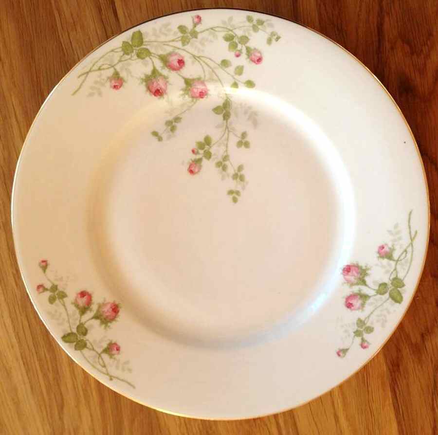 R1967 Dinner Plate by Rosenthal - Continental-1