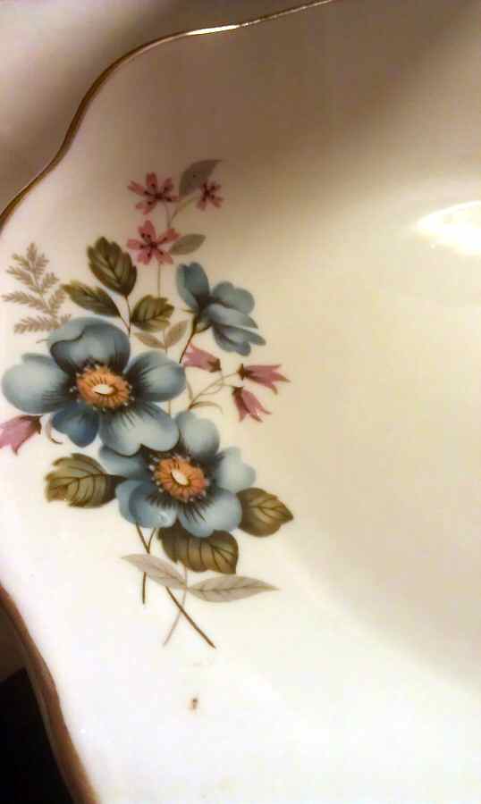RTA51 Dinner Plate by Royal Tara-1