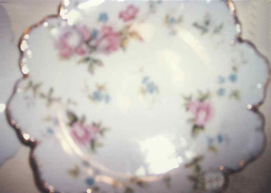 R2936 Dinner Plate by Rosenthal - Continental-1