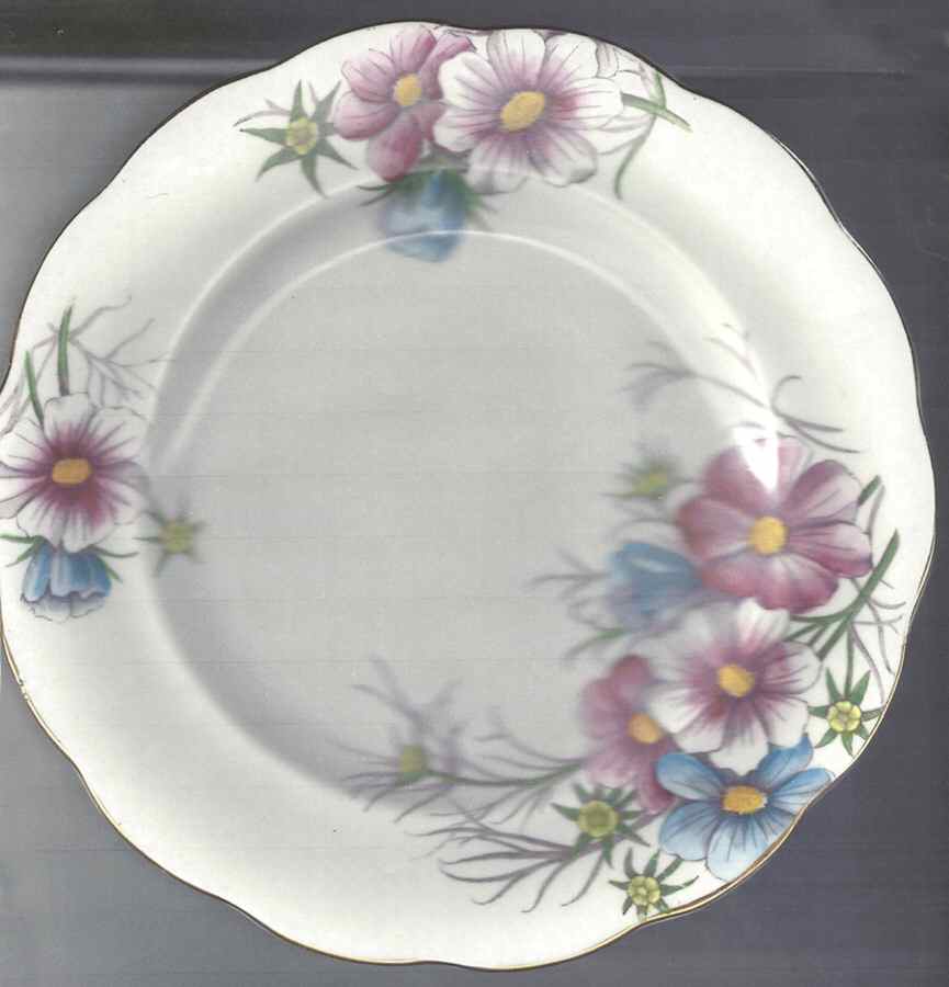 ROA268 Dinner Plate by Royal Albert-1