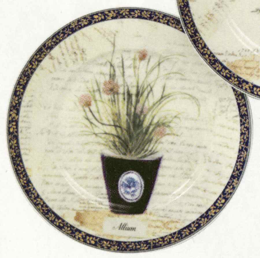 Aromatic Herbs Dessert/Pie Plate by Rochard-1