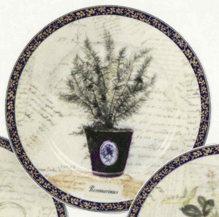Aromatic Herbs Dessert/Pie Plate by Rochard-1
