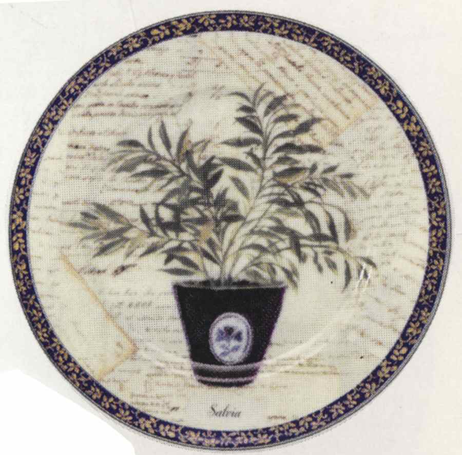 Aromatic Herbs Dessert/Pie Plate by Rochard-1