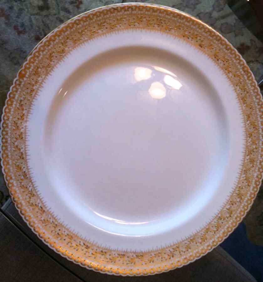 C8534 Dinner Plate by Royal Doulton-1
