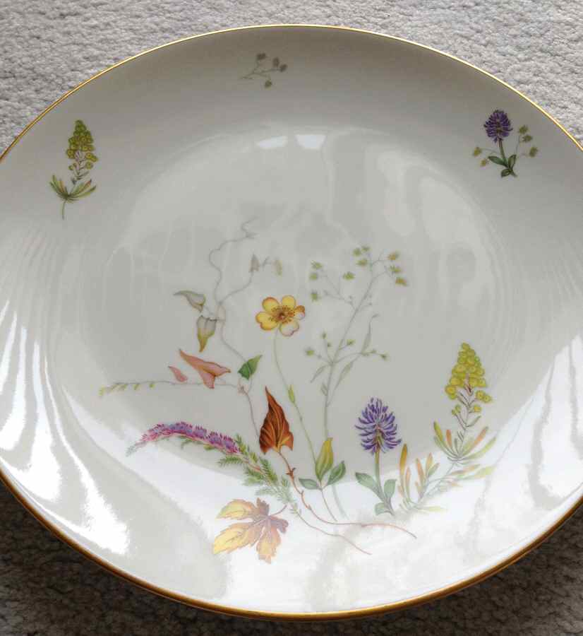 3656 (Coupe, White) Dinner Plate by Rosenthal - Continental-1