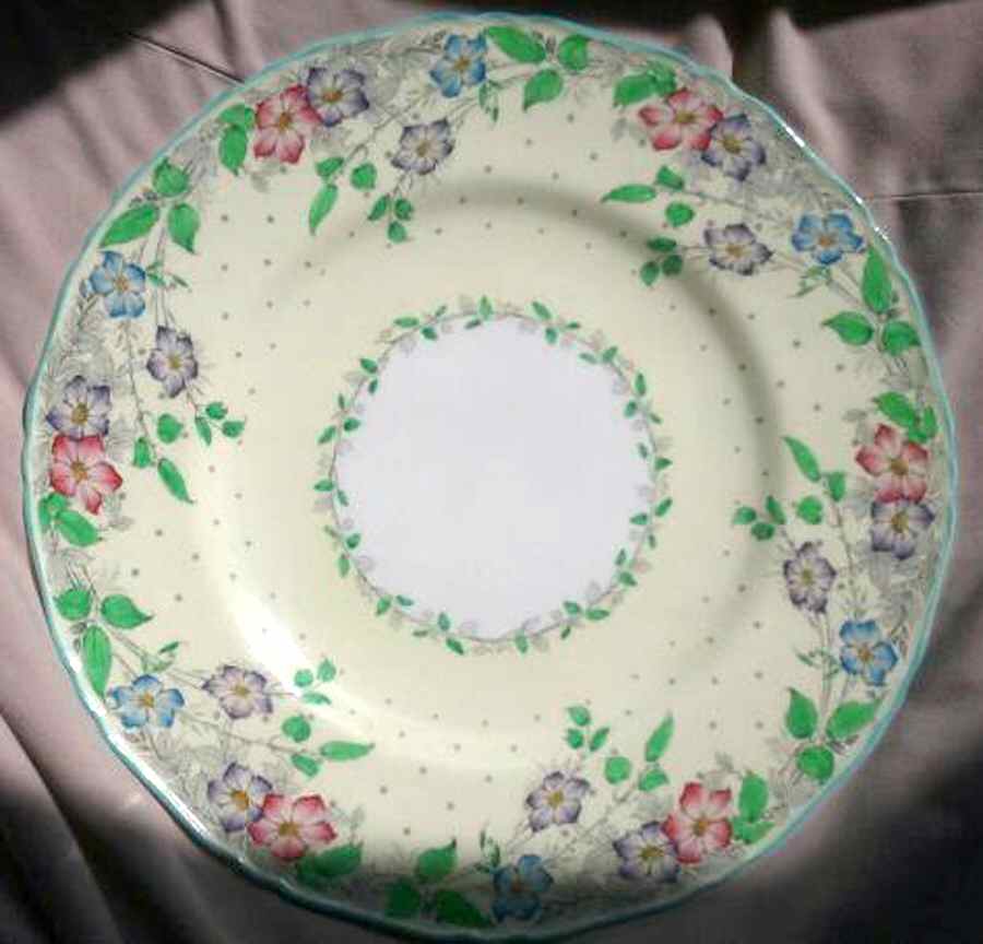 Z1224-2 Dinner Plate by Royal Worcester-1