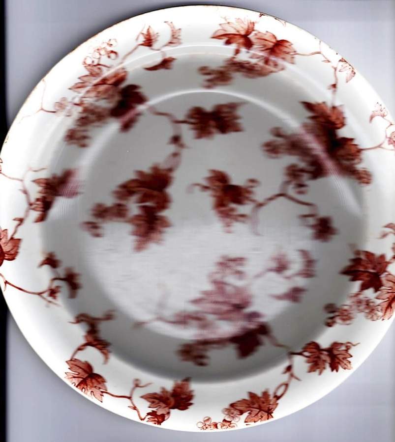 Bordeaux (Brown Floral) Luncheon Plate by Ridgway (Ridgways)-1