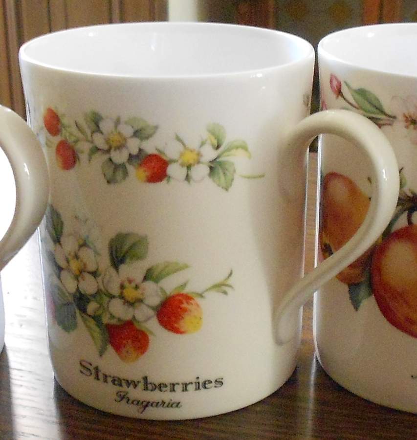 RW299 Mug by Royal Worcester-1