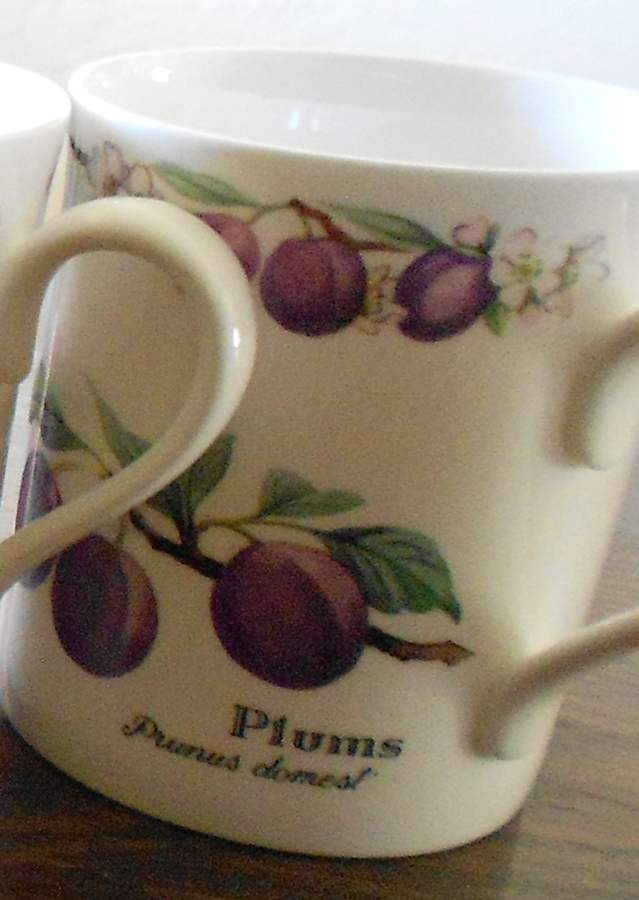 RW299 Mug by Royal Worcester-1