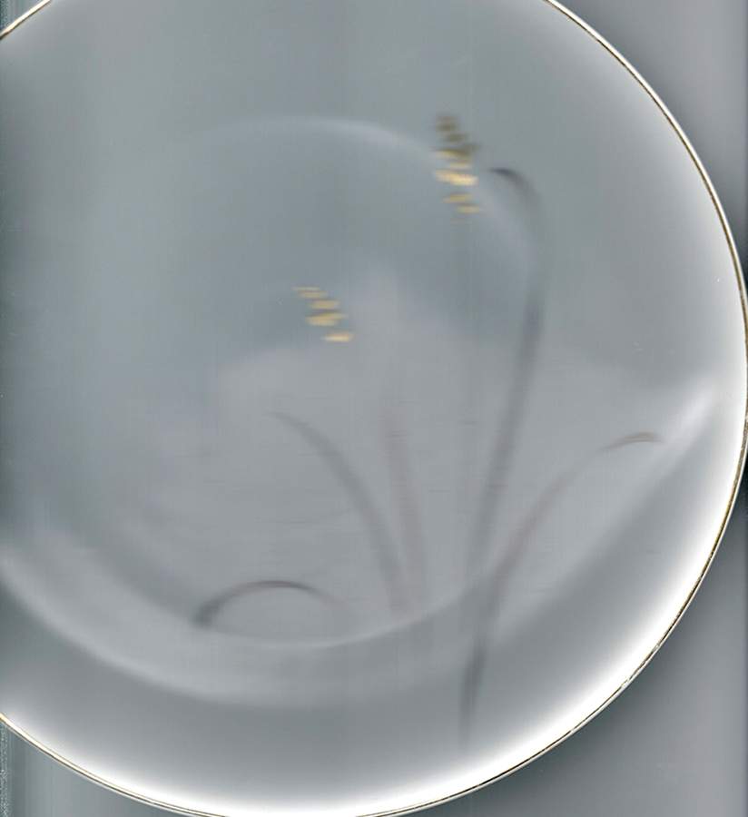 Sydelle Dinner Plate by Regal (Japan)-1