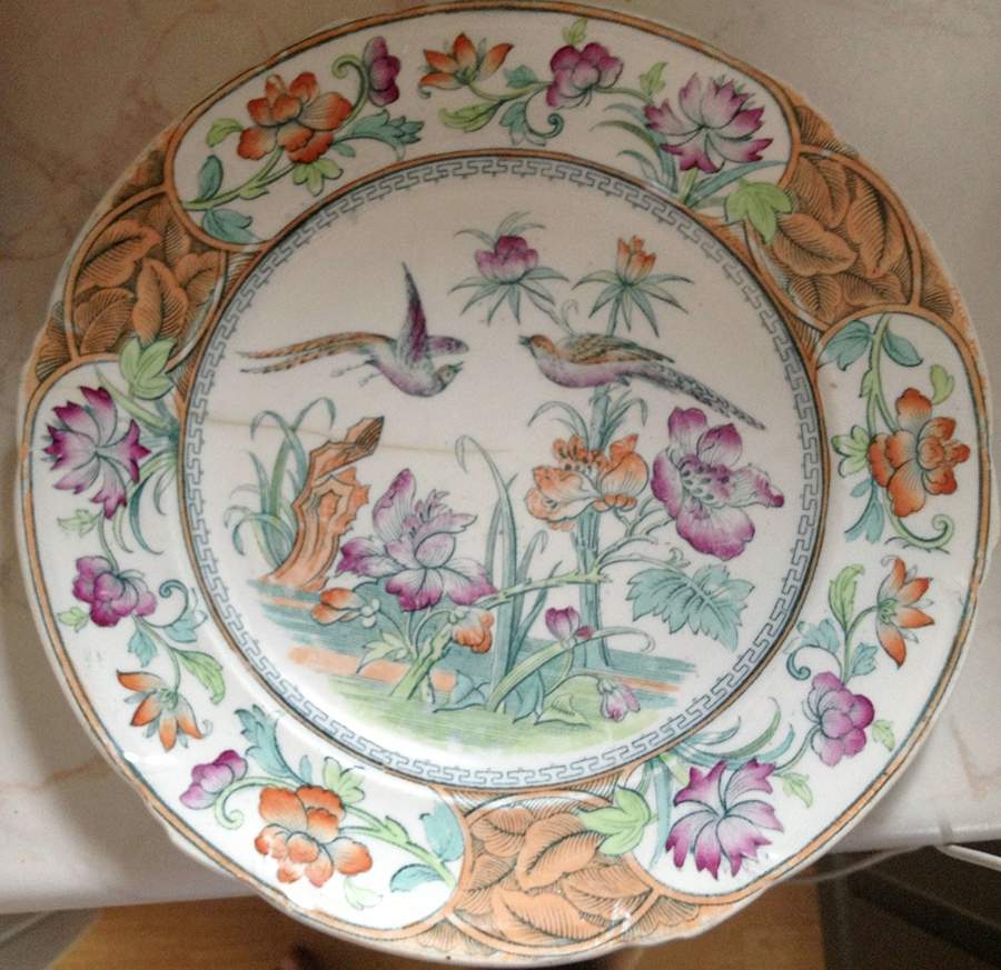 2694 Dinner Plate by Royal Cauldon-1