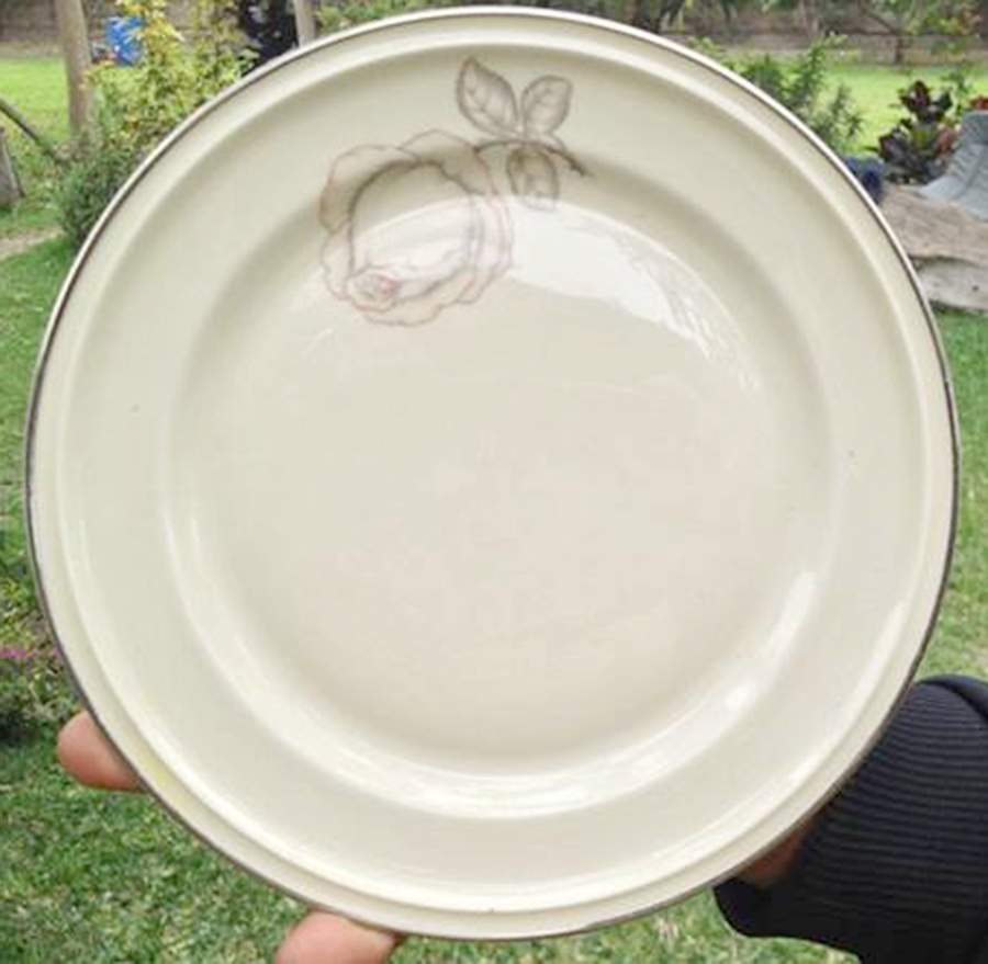 R2328 Dinner Plate by Rosenthal - Continental-1